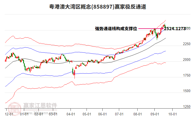 858897粵港澳大灣區(qū)贏家極反通道工具