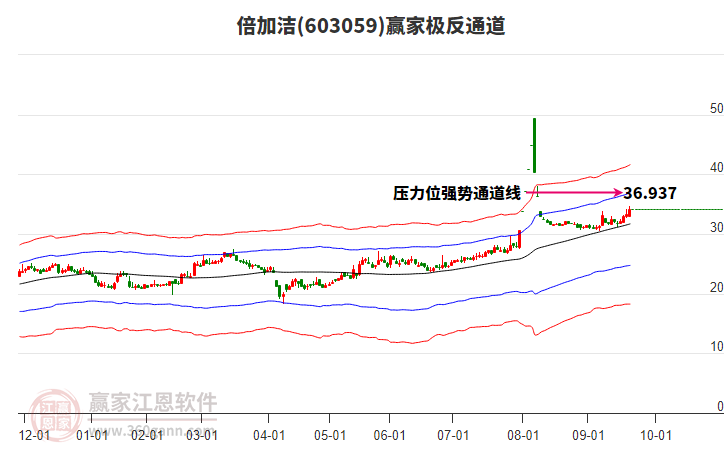 603059倍加潔贏家極反通道工具 603059倍加潔贏家極反通道工具
