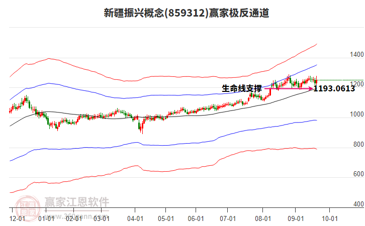 859312新疆振興贏家極反通道工具