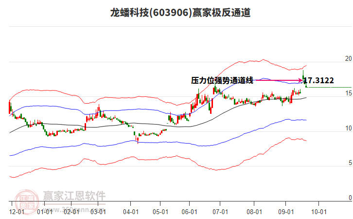 603906龍?bào)纯萍稼A家極反通道工具