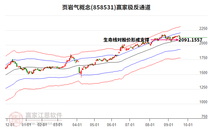 858531頁巖氣贏家極反通道工具