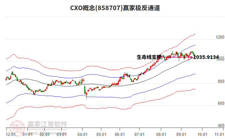 858707CXO贏家極反通道工具 858707CXO贏家極反通道工具