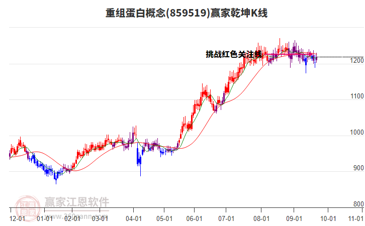 859519重組蛋白贏家乾坤K線工具