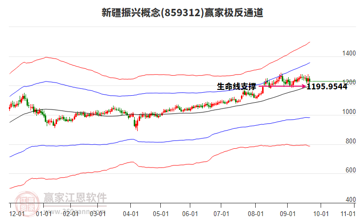 859312新疆振興贏家極反通道工具
