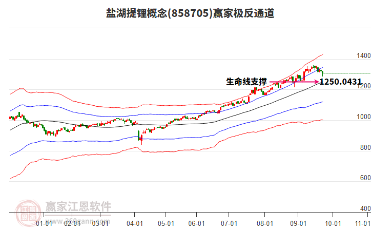 858705鹽湖提鋰贏家極反通道工具