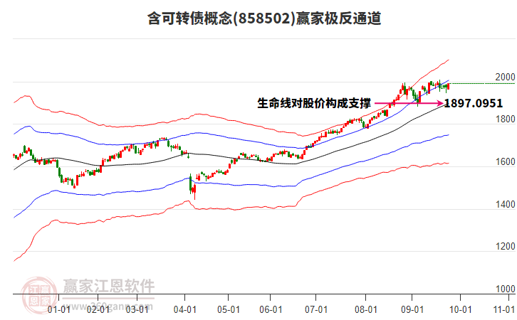 858502含可轉(zhuǎn)債贏家極反通道工具