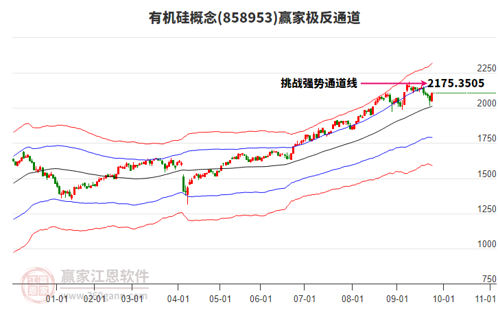 858953有機硅贏家極反通道工具