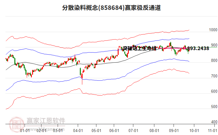 858684分散染料贏家極反通道工具