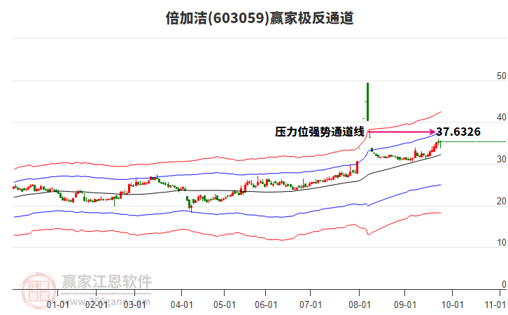 603059倍加潔贏家極反通道工具