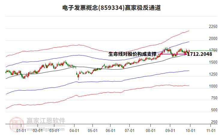 859334電子發(fā)票贏家極反通道工具