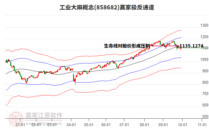 858682工业大麻赢家极反通道工具