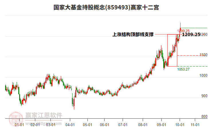 859493國家大基金持股贏家十二宮工具