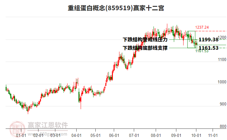 859519重組蛋白贏家十二宮工具