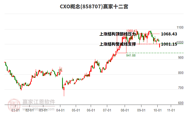 858707CXO贏家十二宮工具 858707CXO贏家十二宮工具