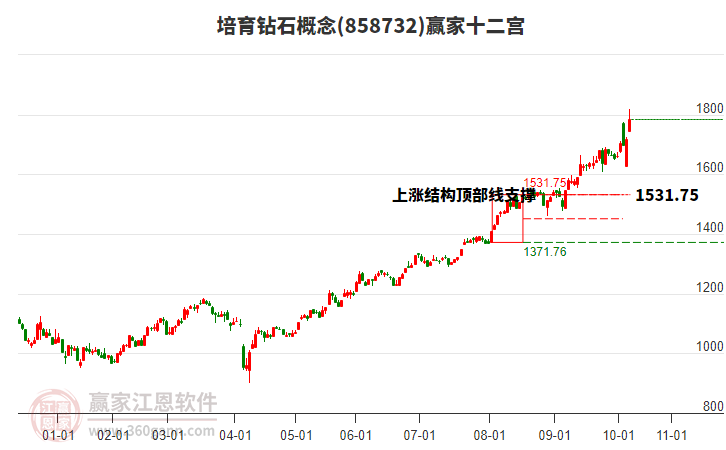 858732培育鉆石贏家十二宮工具