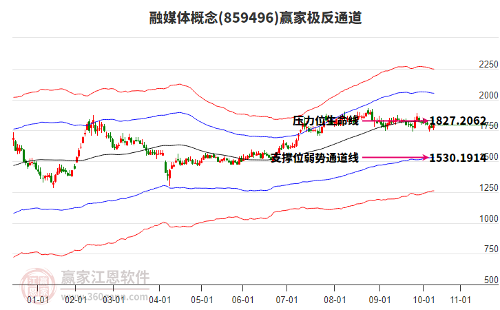 859496融媒體贏家極反通道工具