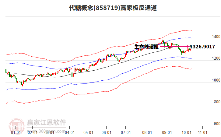 858719代糖贏家極反通道工具