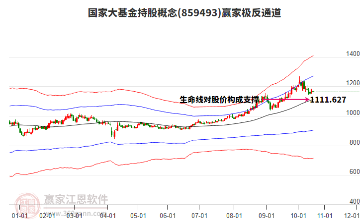 859493國家大基金持股贏家極反通道工具