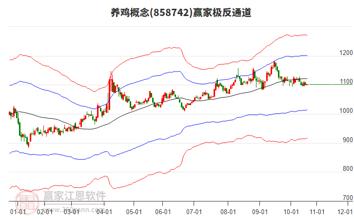 858742養(yǎng)雞贏家極反通道工具