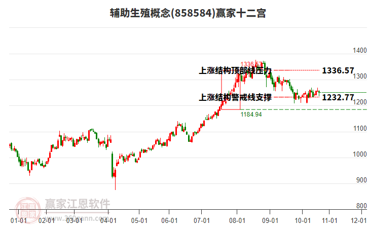 858584輔助生殖贏家十二宮工具