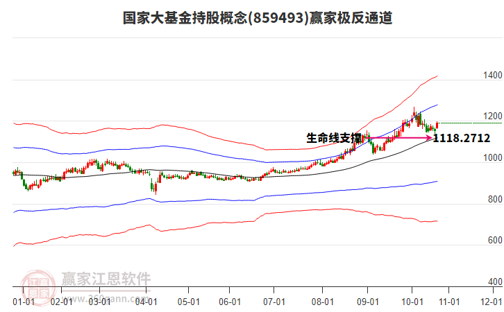 859493國(guó)家大基金持股贏家極反通道工具