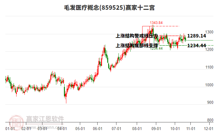 859525毛發(fā)醫(yī)療贏家十二宮工具 859525毛發(fā)醫(yī)療贏家十二宮工具