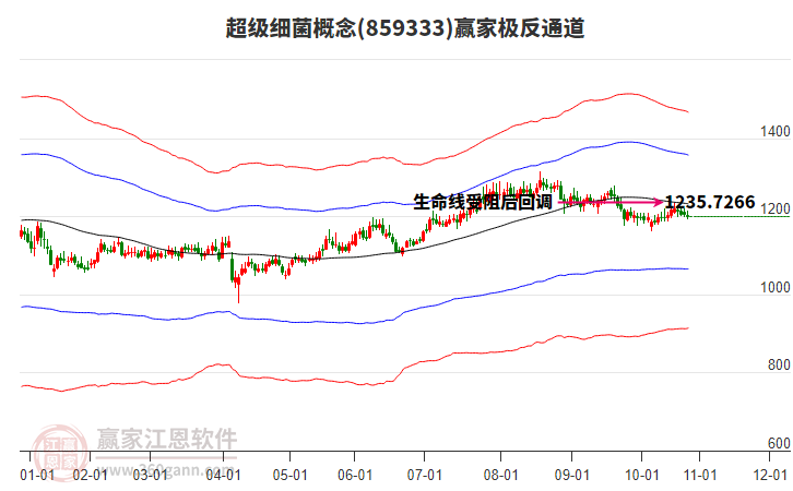 859333超級(jí)細(xì)菌贏家極反通道工具