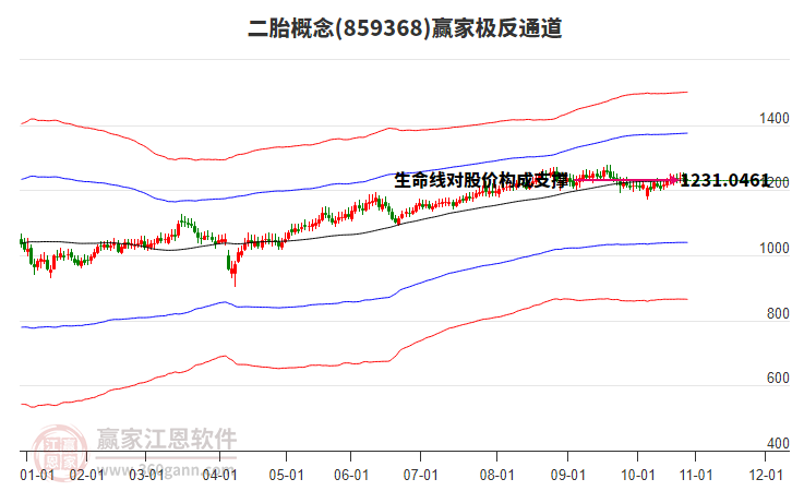 859368二胎贏家極反通道工具 859368二胎贏家極反通道工具