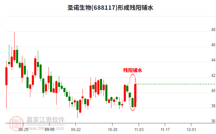 688117圣諾生物形成殘陽(yáng)鋪水形態(tài)