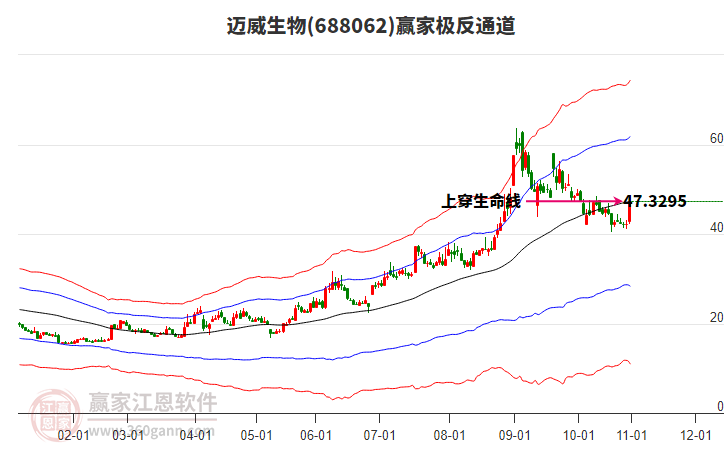688062邁威生物贏家極反通道工具