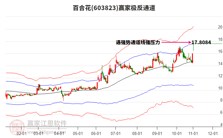 603823百合花贏家極反通道工具