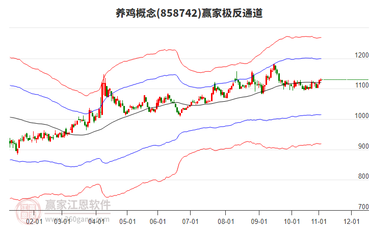 858742養(yǎng)雞贏家極反通道工具