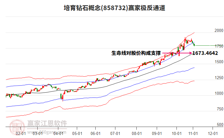858732培育鉆石贏家極反通道工具