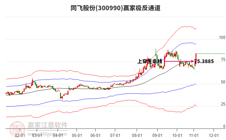300990同飛股份贏家極反通道工具 300990同飛股份贏家極反通道工具