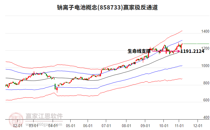 858733鈉離子電池贏家極反通道工具