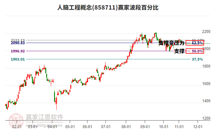 人腦工程概念贏家波段百分比工具