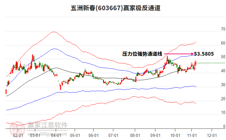 603667五洲新春赢家极反通道工具