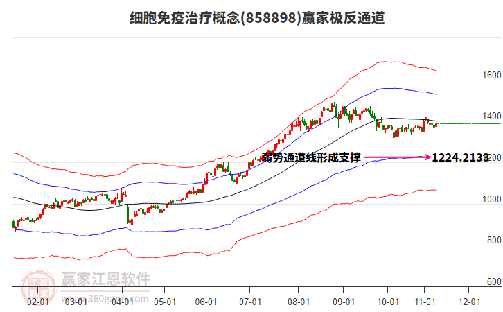 858898細(xì)胞免疫治療贏家極反通道工具 858898細(xì)胞免疫治療贏家極反通道工具