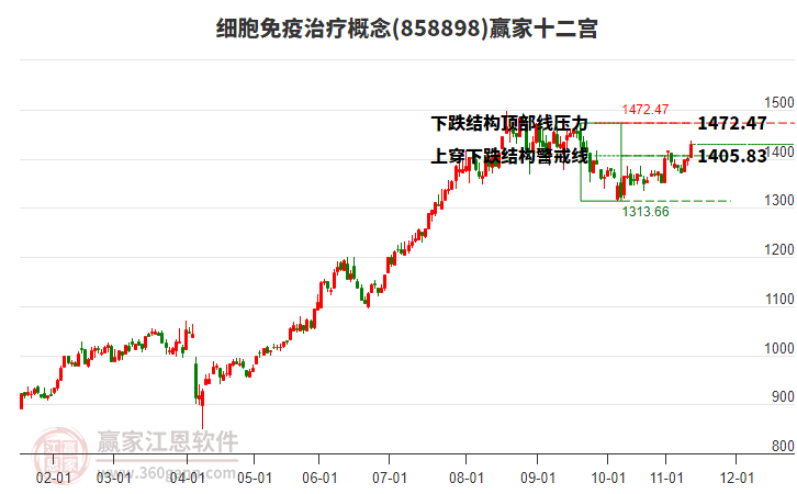 858898細(xì)胞免疫治療贏家十二宮工具