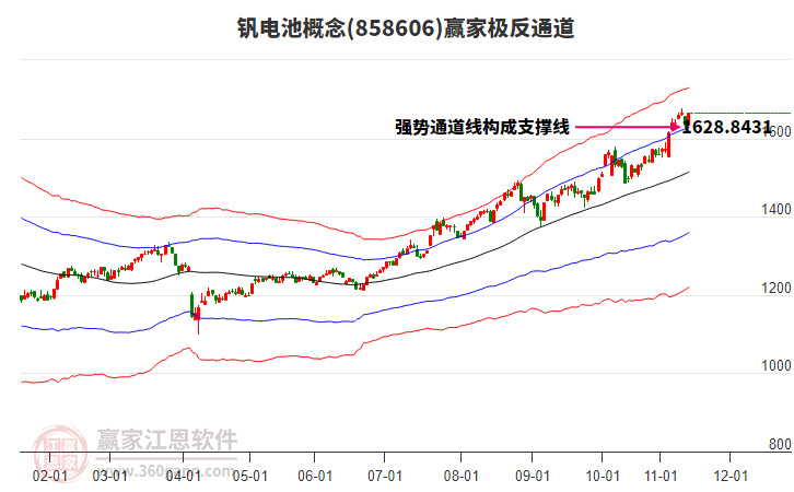 858606釩電池贏家極反通道工具