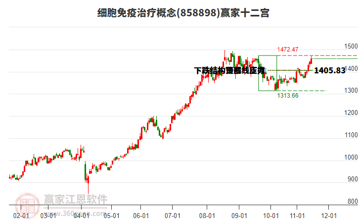 858898細胞免疫治療贏家十二宮工具