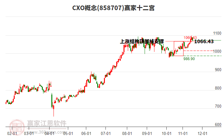 858707CXO贏家十二宮工具 858707CXO贏家十二宮工具