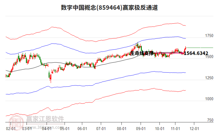 859464數(shù)字中國贏家極反通道工具