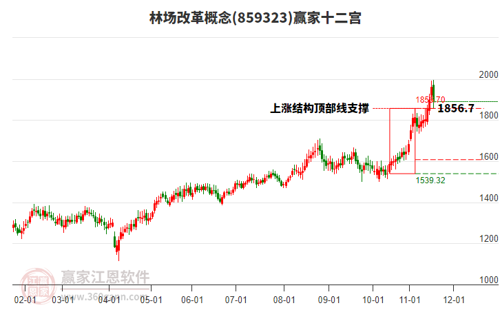 859323林場改革贏家十二宮工具