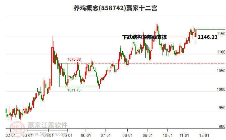 858742養(yǎng)雞贏家十二宮工具