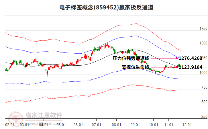 859452電子標簽贏家極反通道工具