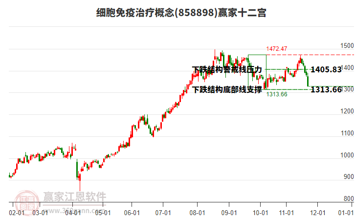 858898細(xì)胞免疫治療贏家十二宮工具