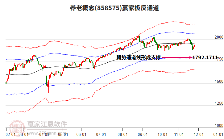858575養(yǎng)老贏家極反通道工具