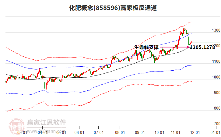 858596化肥贏家極反通道工具