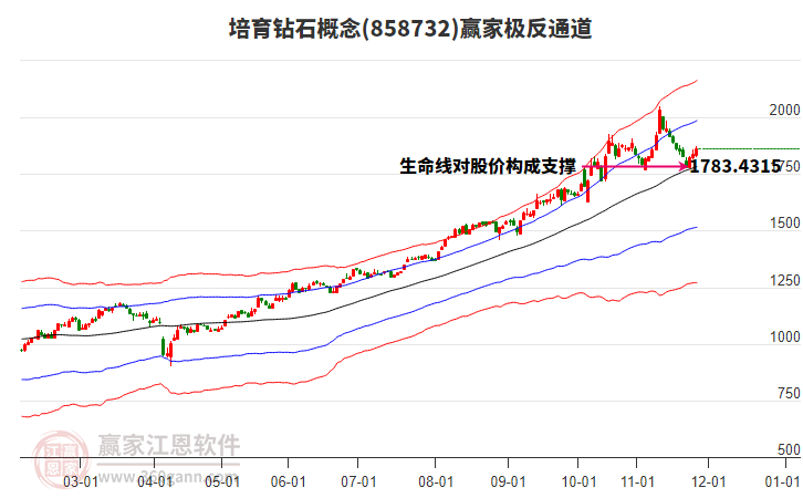 858732培育鉆石贏家極反通道工具 858732培育鉆石贏家極反通道工具